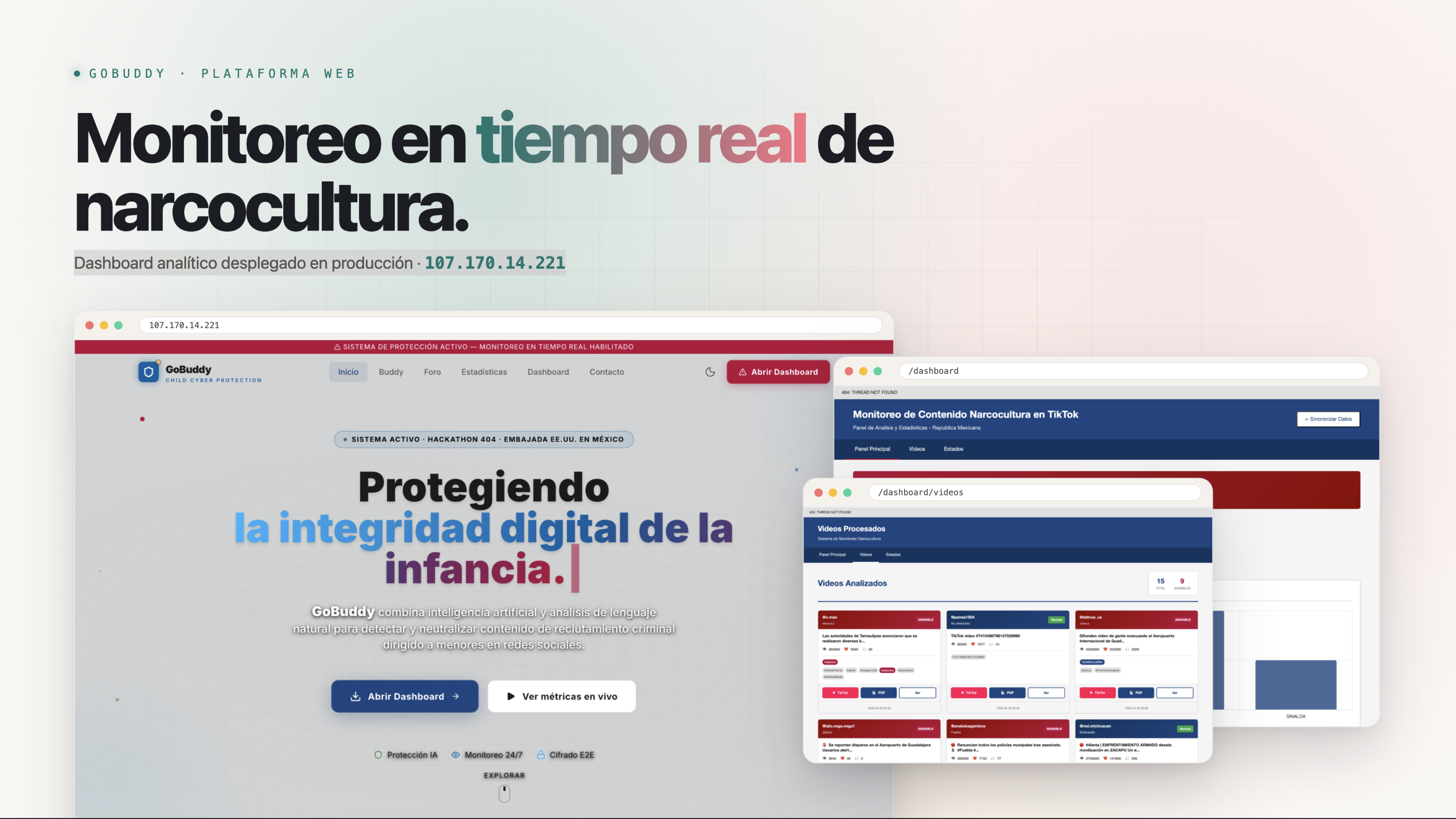 GoBuddy web dashboard showing real-time narco-culture monitoring on TikTok